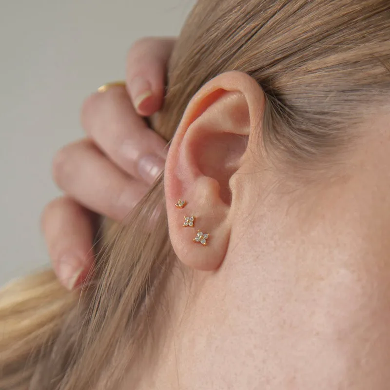 Simple Hypoallergenic Small Zi - Body Jewelry Hypoallergenic recension och pris